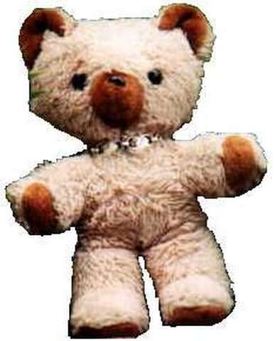 Alles über Teddylein